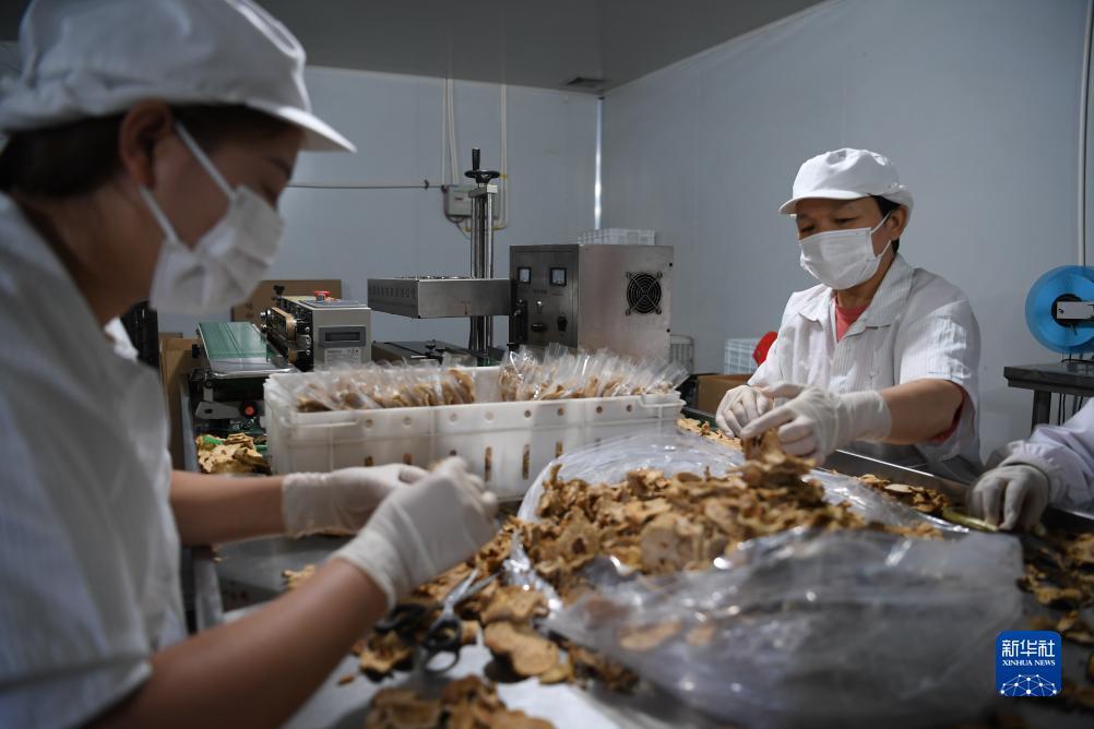 捕鱼游戏大厅手机版